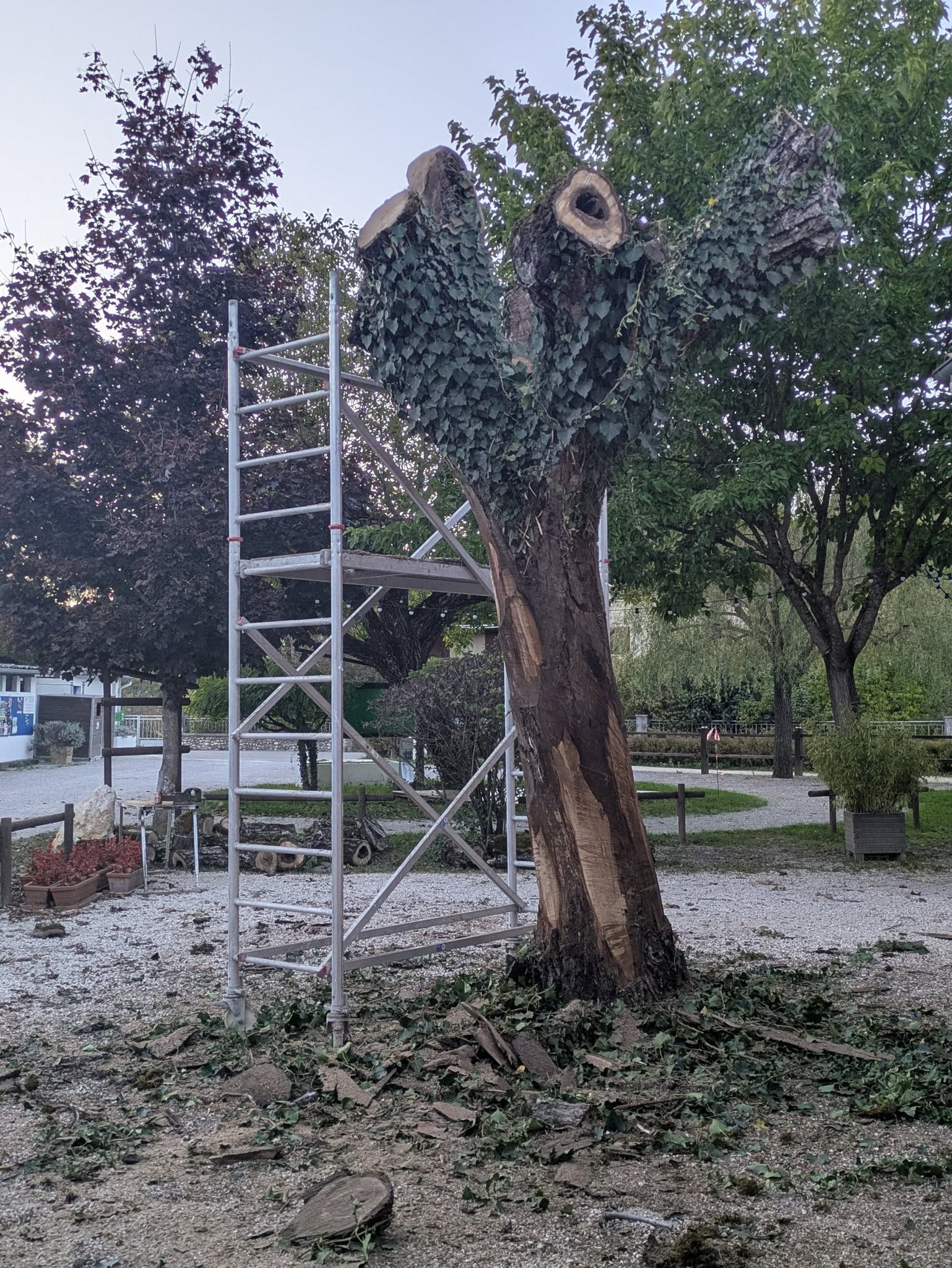 Sculpture monumentale sur bois Anouk Sakura — réalisation récente